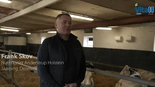 Frank Skov, Anderstrup Holstein nutritionist, discusses YMCP Vitall