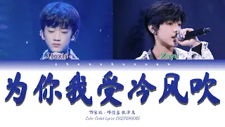 TF家族 (TFFAMILY) - 为你我受冷风吹 (For You I am Blown by the Cold Wind) [Color Coded Lyrics Chi | Pin | Eng]