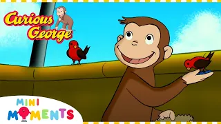 George Flies High in the Sky 🌥️ | Curious George | Compilation | Mini Moments