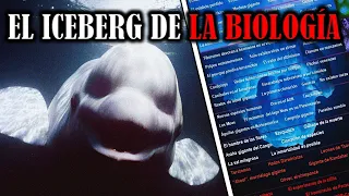 EL ICEBERG DE LA BIOLOGÍA 🔬​