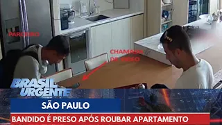 Bandido é preso após roubar apartamento de luxo em SP | Brasil Urgente