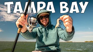 FISHING LIVE SHRIMP IN TAMPA BAY FOR WHATEVER BITES!
