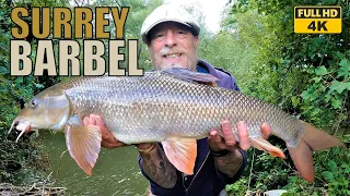 A HUNT for a SURREY BARBEL - PT 2 - Chub Perch Barble