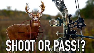 QUARTERING TO SHOTS!!! - Should YOU Take Them or Not?? | Bowhunting Deer