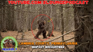 Bigfoot Encounters from Cambria County, Pennsylvania - SLP507