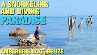 A SNORKELING AND DIVING PARADISE!!! | AMBERGRIS CAYE, BELIZE | Adventure NINE