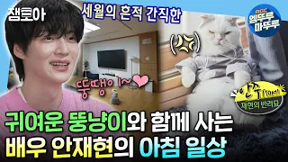 [#나혼자산다] 옛 감성 우드색 몰딩의 20년 된 집에 사는 안재현과 다이어트 시급한 6kg 뚱냥이 안주의 일상✨ | #안재현 #배우 MBC240412방송