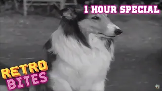 Lassie | 1 Hour Special | English |  Full Episodes | Old Cartoons