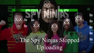 Spy Ninja's Their Doom