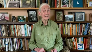 Interview with Jane Goodall - The Ritz Herald