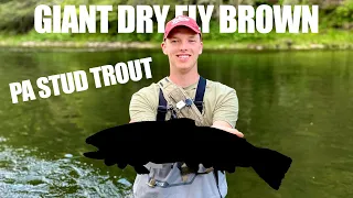 Pine Creek 2023-Big Browns, Rainbows, and Brookies!