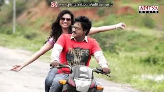 Mr Pellikoduku Movie | Masthu Masthu Full Song | Sunil, Isha Chawla