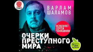 Очерки преступного мира. Шаламов В. Аудиокнига. читает Сергей Чонишвили