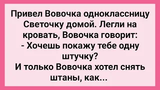 Как Вовочка Однокласснице Показать Хотел! Сборник Свежих Смешных Жизненных Анекдотов!