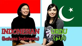 Similarities Between Indonesian and Urdu