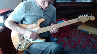 Rusch Guitars Garcia Alligator Strat Short Demo