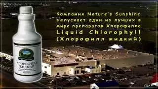 Жидкий Хлорофилл Liqiud Chlorophyll   жемчужина NSP