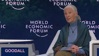 Jane Goodall on Population And The Environment