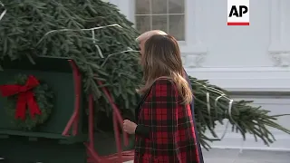 Trumps welcome White House Christmas tree