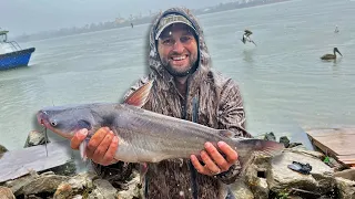 CATFISH FEEDING FRENZY in the MISSISSIPPI RIVER (CATCH AND COOK)