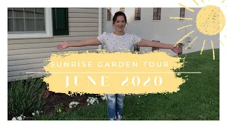 June Garden Tour 2020 🌼🌱 // Small Garden Inspiration✨// Sunrise Garden Tour 🌞 // Crystal Does