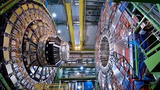 We have a discovery: the future of the Higgs boson