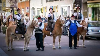 Ostermontag in Meran 2018 - Festumzug der Haflinger Pferde