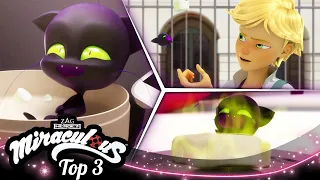 MIRACULOUS | 🐞 PLAGG 🔝 | STAFFEL 1 | Geschichten von Ladybug und Cat Noir