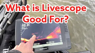 What is Livescope Good For?