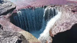 Caño Cristales, rzeka pięciu kolorów - Kolumbia