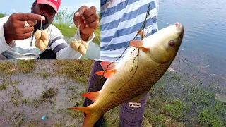 Hook fishing Technique | Rohu fishing Technique | Rohu fishing Bait | Fishing Technique