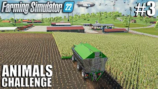 I Started The SILAGE PRODUCTION | Animals Challenge | Timelapse 3 | Farming Simulator 22