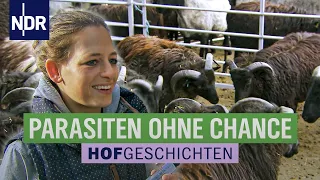 Wasser für die Kartoffeln | Hofgeschichten: Leben auf dem Land | NDR