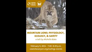 CCC-YVC Winter Talk | Mountain Lions: Physiology, Ecology & Safety