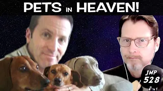 Pets In The Afterlife  - Do Pets Have Souls?