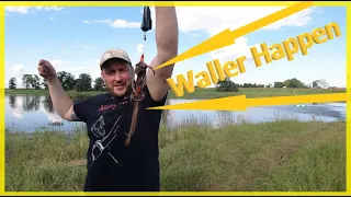 Waller angeln am Fluss ohne Boot vom Ufer / So baust auch du ganz einfach eine Montage für Waller