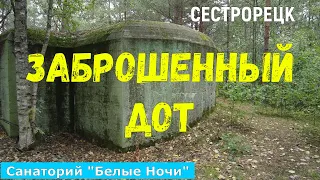 ЗАБРОШЕННЫЙ ДОТ. Санаторий "Белые ночи". Сестрорецк. Осень 2021 года.