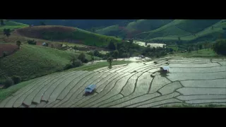 Rice Terraced Fields in Pha Pong Peang Chiang Mai, Thailand (4K)