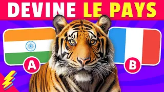 Devine le PAYS d'après son ANIMAL TOTEM..! 🐼🐯🦈