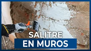 ¿CÓMO ELIMINAR EL SALITRE DE LOS MUROS? 2021