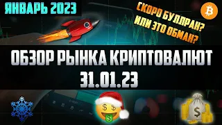 Обзор рынка криптовалют 31.01.23. Январь 2023. Бычий рынок начался или скоро будет жёсткое бритье?