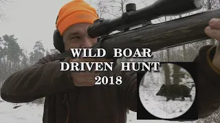 Wild Boar Driven Hunt 2018 - Trailer