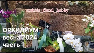 Орхидиум весна 2024. Обзор выставочной части 🌸😍🔥 #орхидиум2024 #orchidium #орхидиум