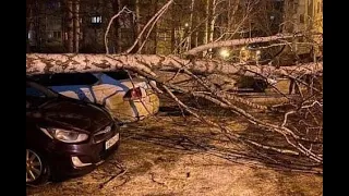 На Ставрополь обрушился штормовой ветер: сорваны крыши, повалены деревья