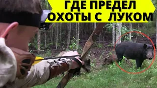 Где предел охоты с луком? / Where is the limit of hunting with longbow?
