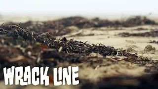 What Is A Wrack line? | In The Field