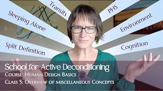 Course: Human Design—Class 5 Additional Concepts (School for Active Deconditioning)