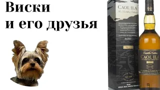 Дегустация Caol Ila 2004 Moscatel Cask Finish Distillers Edition. Дегустация дыма 34