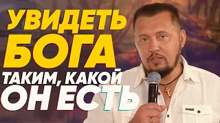 УВИДЕТЬ БОГА ТАКИМ, КАКОЙ ОН ЕСТЬ | Апостол Владимир