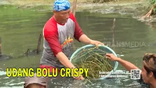 UDANG BOLU CRISPY | JEJAK SI GUNDUL (29/11/23)